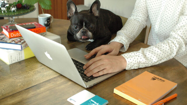 2025-2026 年末年始休業期間のお知らせ